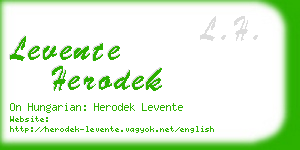 levente herodek business card